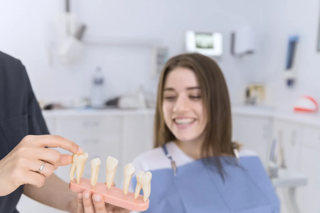 smiling-female-patient-looking-different-types-teeth-model